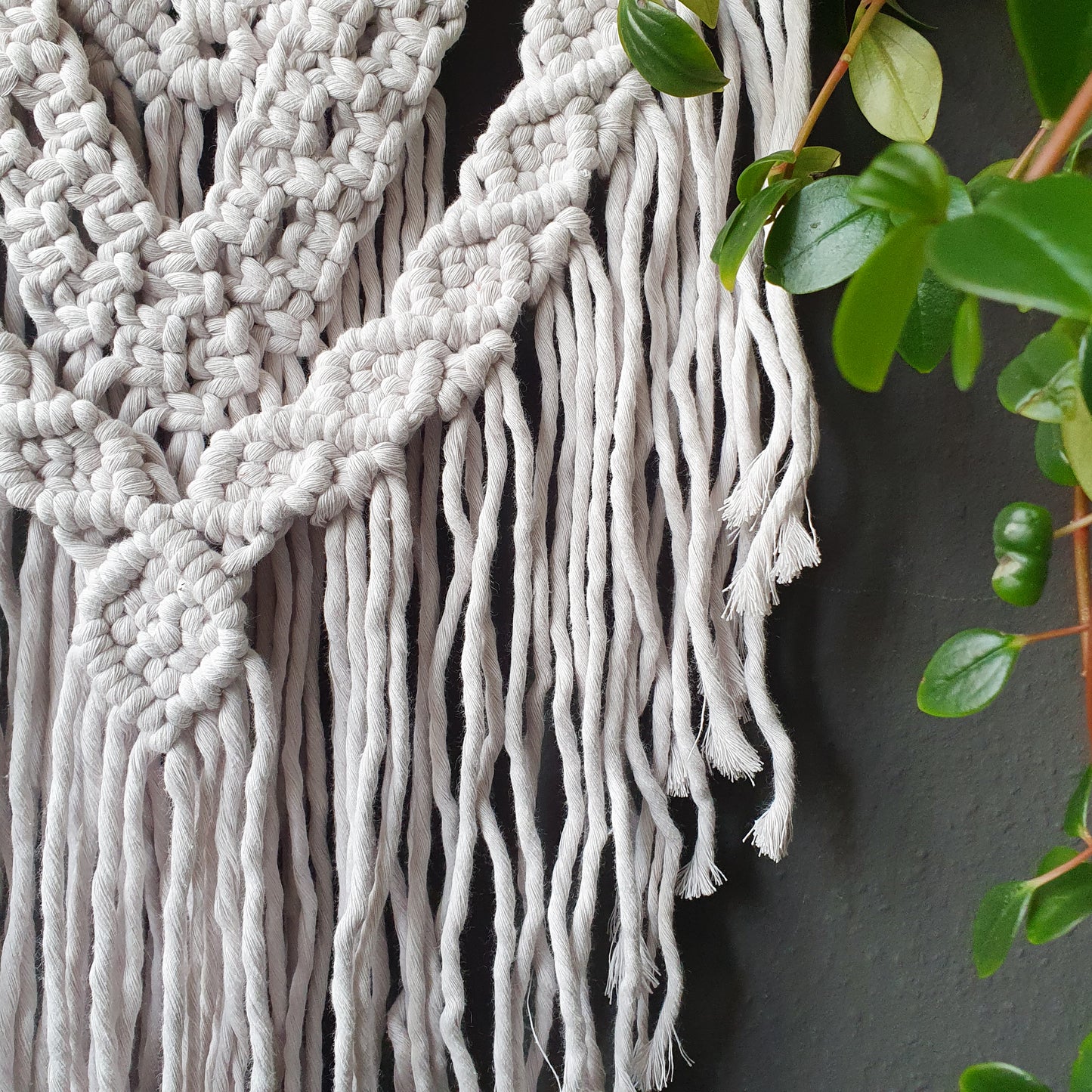 Corde Macramé | 3mm Brossé