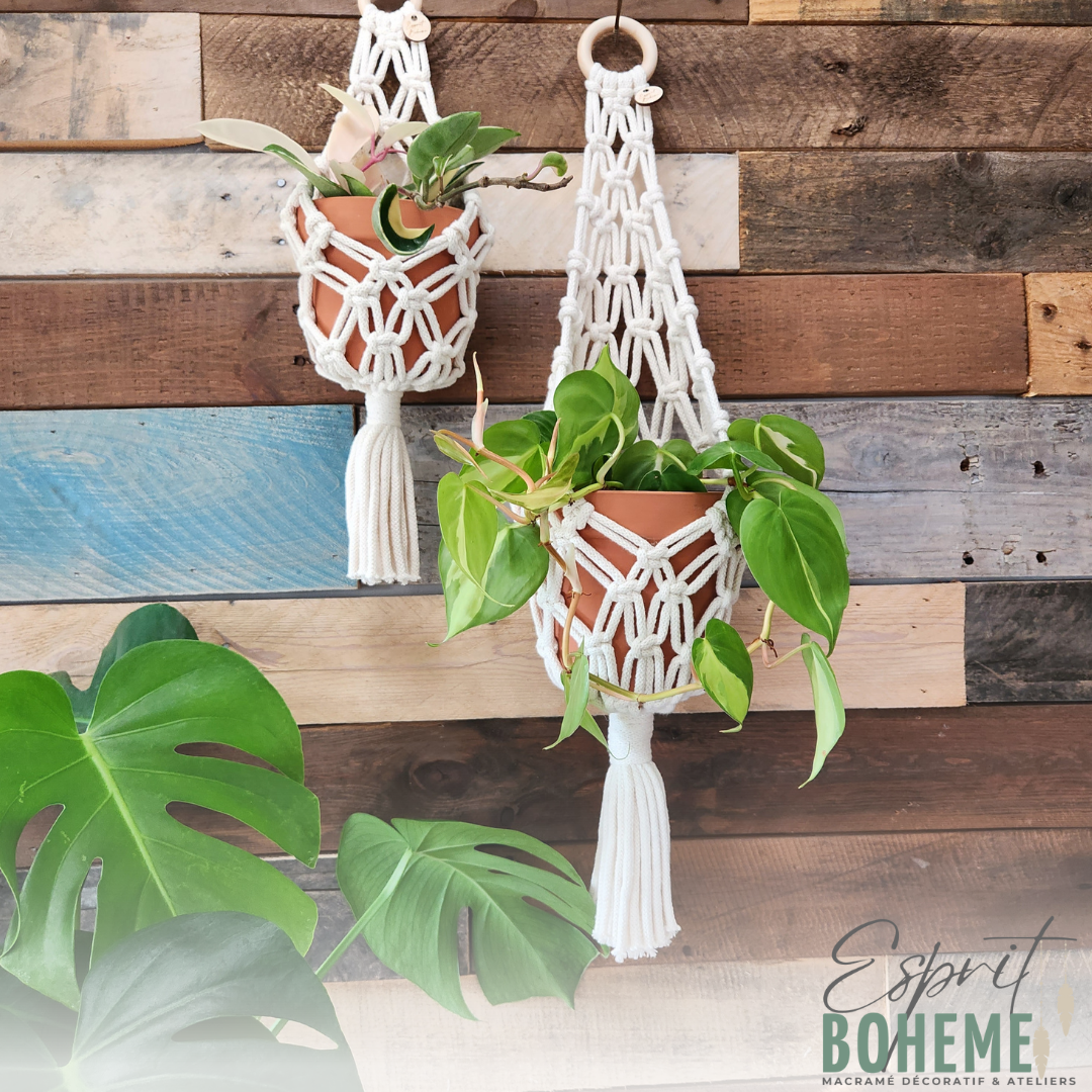 Panier Versatile | Moyen