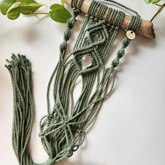 Jardinière murale & capteur de lumière | Sünna