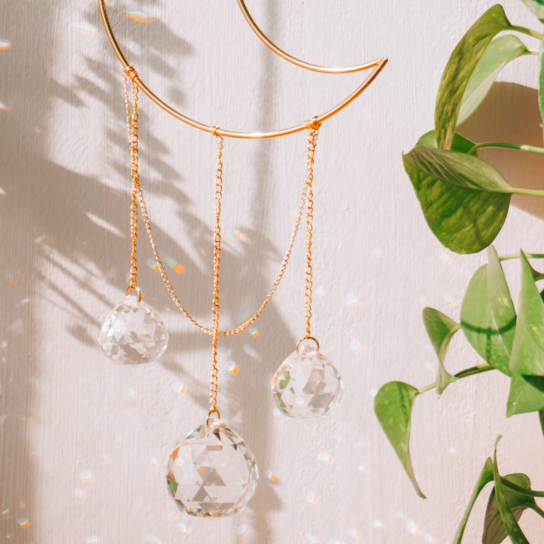 Capteurs de lumière, rêves & Arbre de vie