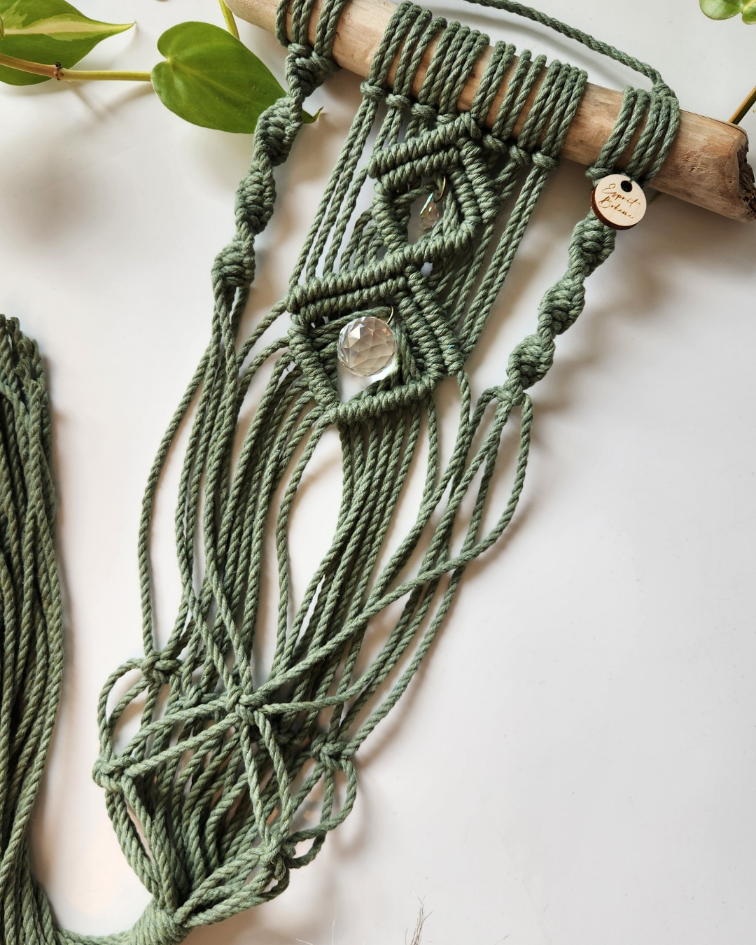 Jardinière murale & capteur de lumière | Sünna