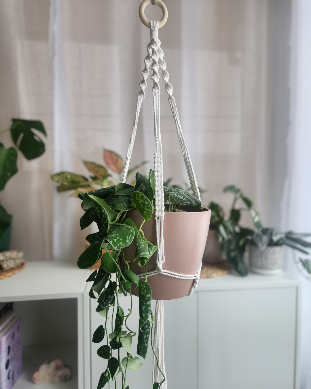 Atelier de macramé : Jardinière suspendue