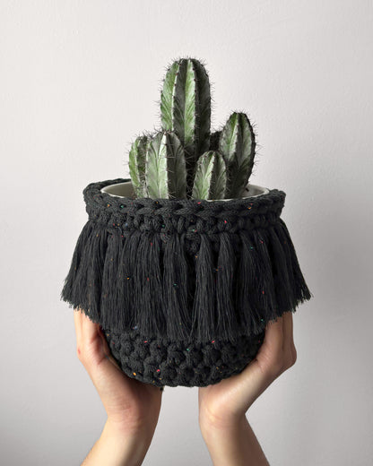 Collection – Midnight Dust | Édition limitée