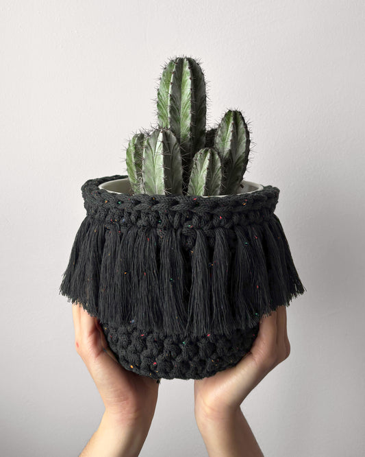 Collection – Midnight Dust | Édition limitée