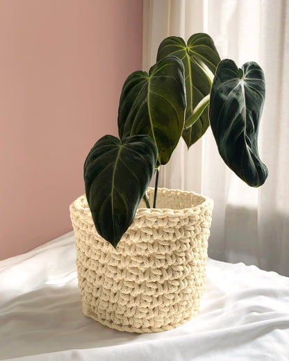 Corde Tressée | Premium 5mm (100m)