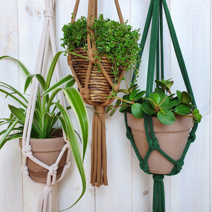 Corde Tressée | Jumbo 9mm (100m) - Disponible en commande spéciale