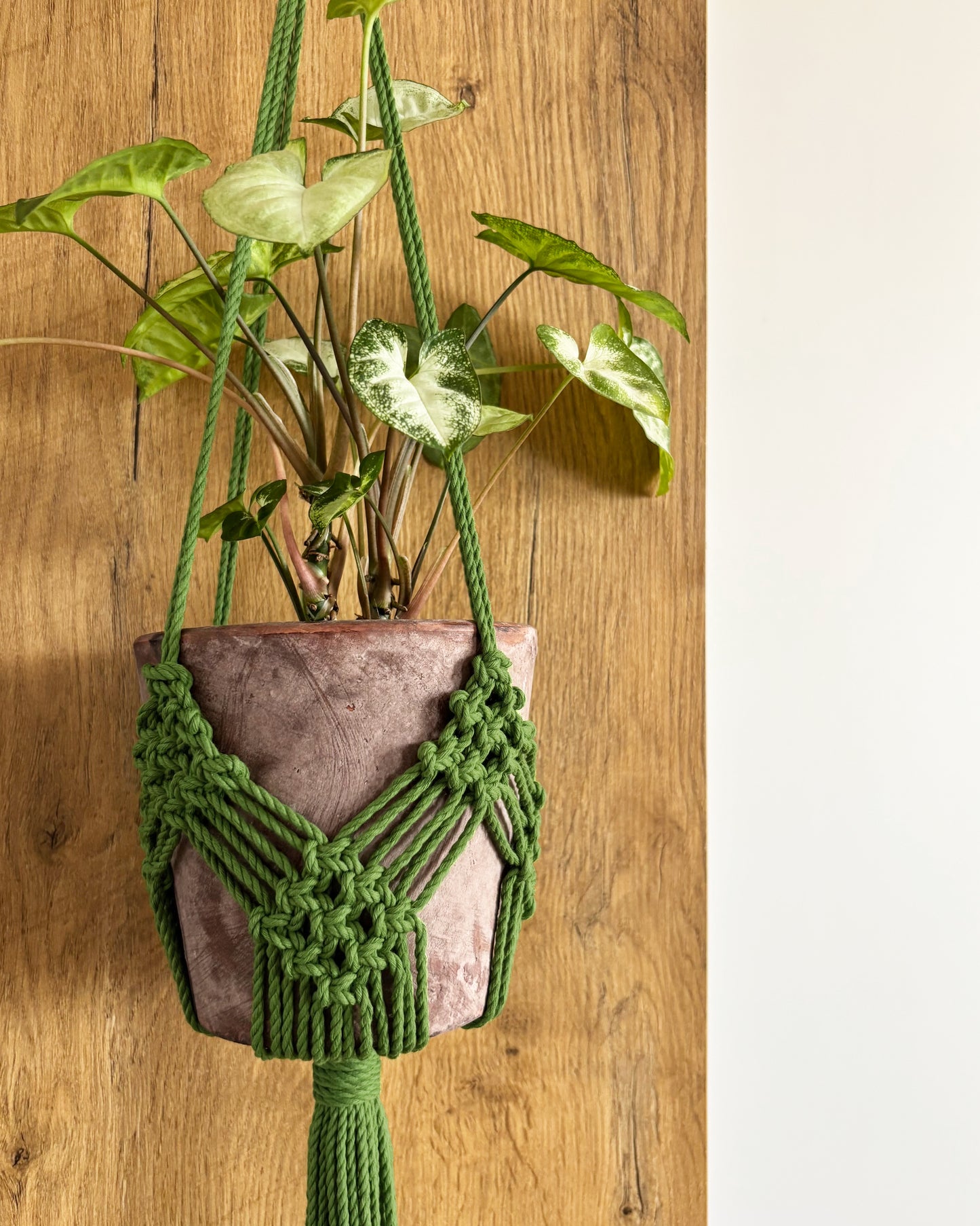 Corde Torsadée | 3mm (100m)