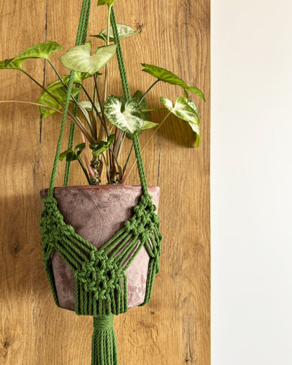 Corde Torsadée | 3mm (100m)